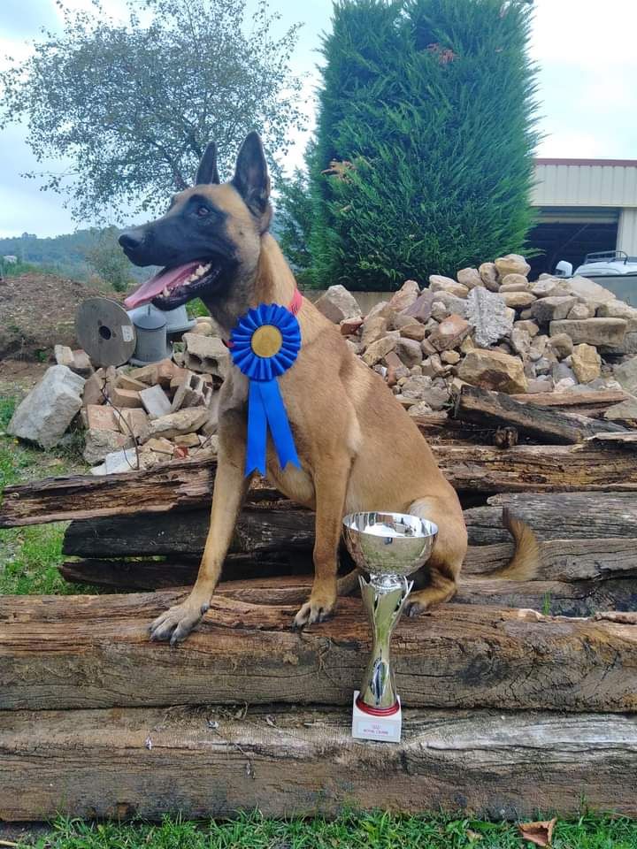 Du Bois De Larnède - Championnat territorial pholie l'emporte !