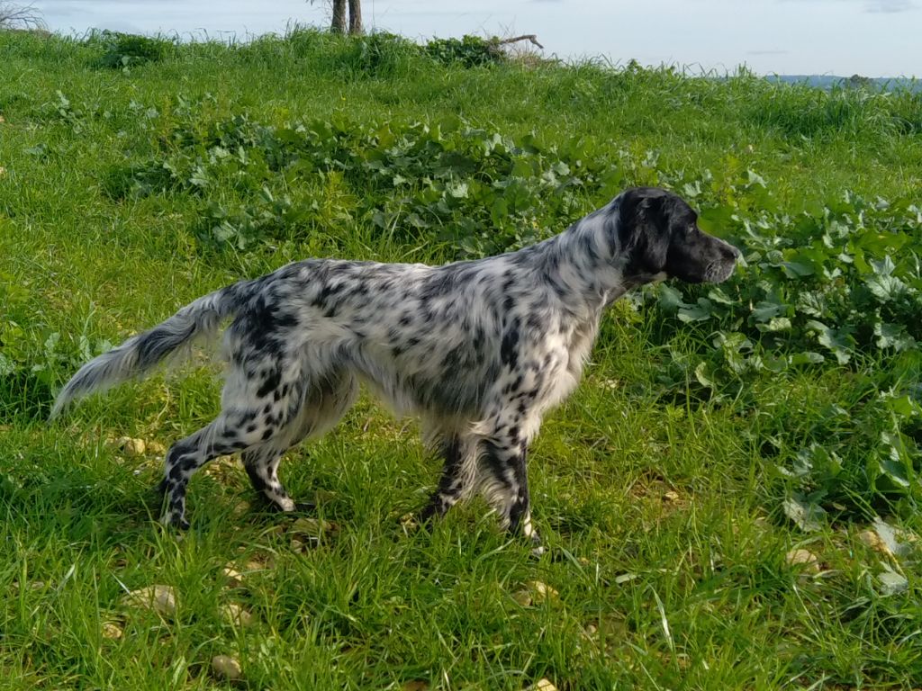 Du Bois De Larnède - Rallye prochaine maman ??