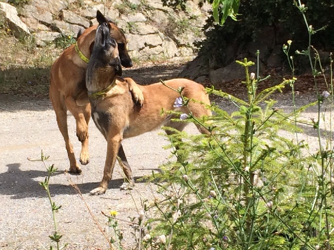 Du Bois De Larnède - Photo d'amour entre une mère et son fils