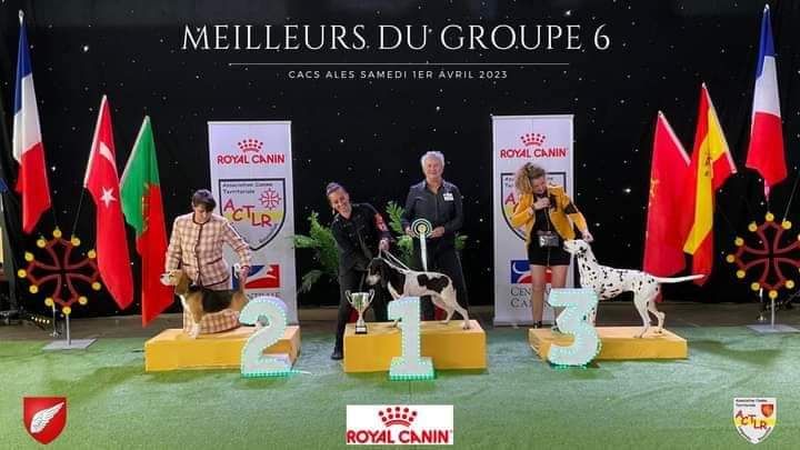 Du Bois De Larnède - Rivale Best du groupe 6