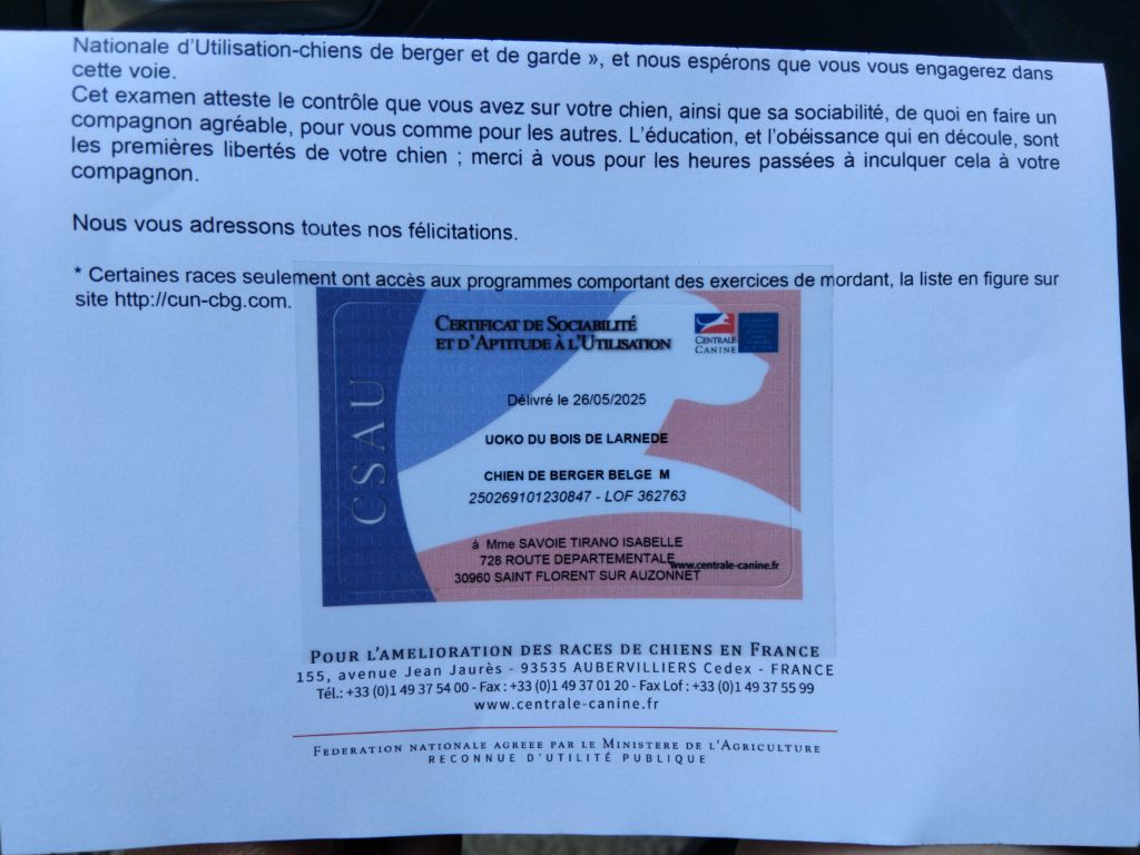 Uoko csau et brevet en poche 