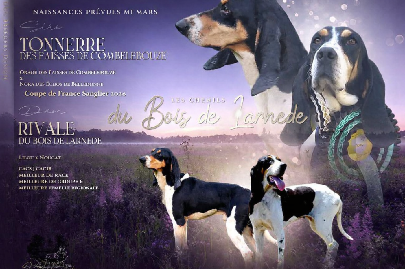 Confirmation de gestation pour Rivale