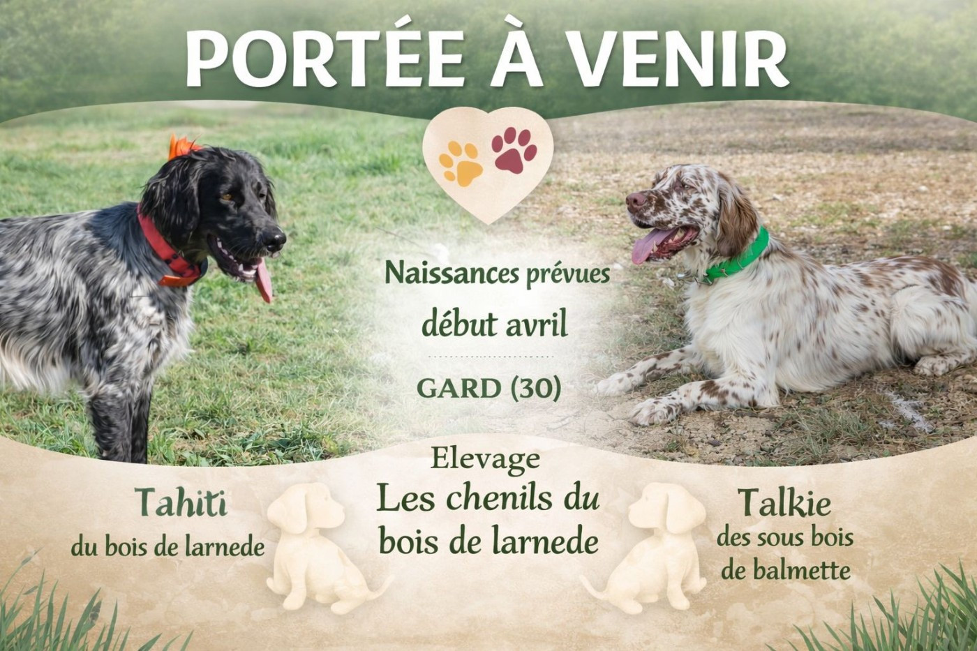 Bientôt les naissances !