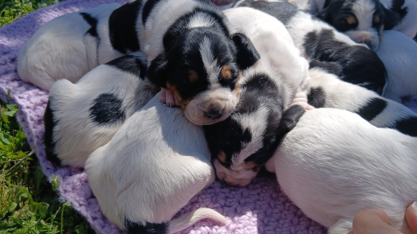 Les yeux sont ouverts les premiers déplacements commencent